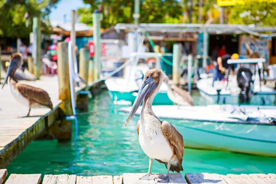 10 Best Beach Towns in Florida for a Summer Getaway