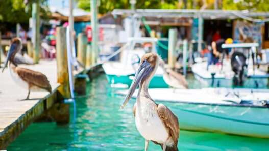 10 Best Beach Towns in Florida for a Summer Getaway