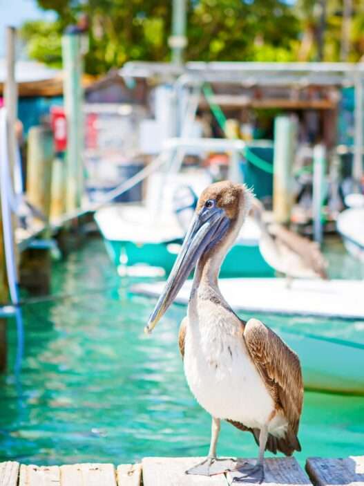 10 Best Beach Towns in Florida for a Summer Getaway
