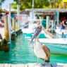 10 Best Beach Towns in Florida for a Summer Getaway