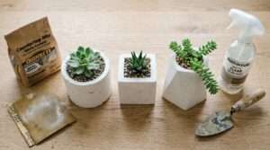 10 fun diy craft projects