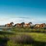 10 Best Places to See Wild Horses Running Free in America